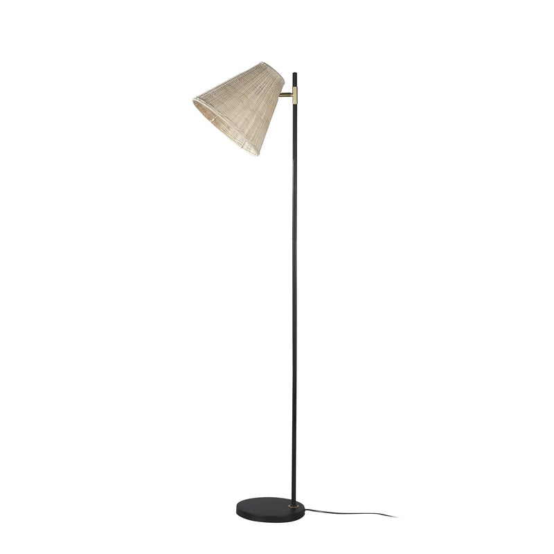 Modern floor lamp with black metal stand and woven rattan shade on white background