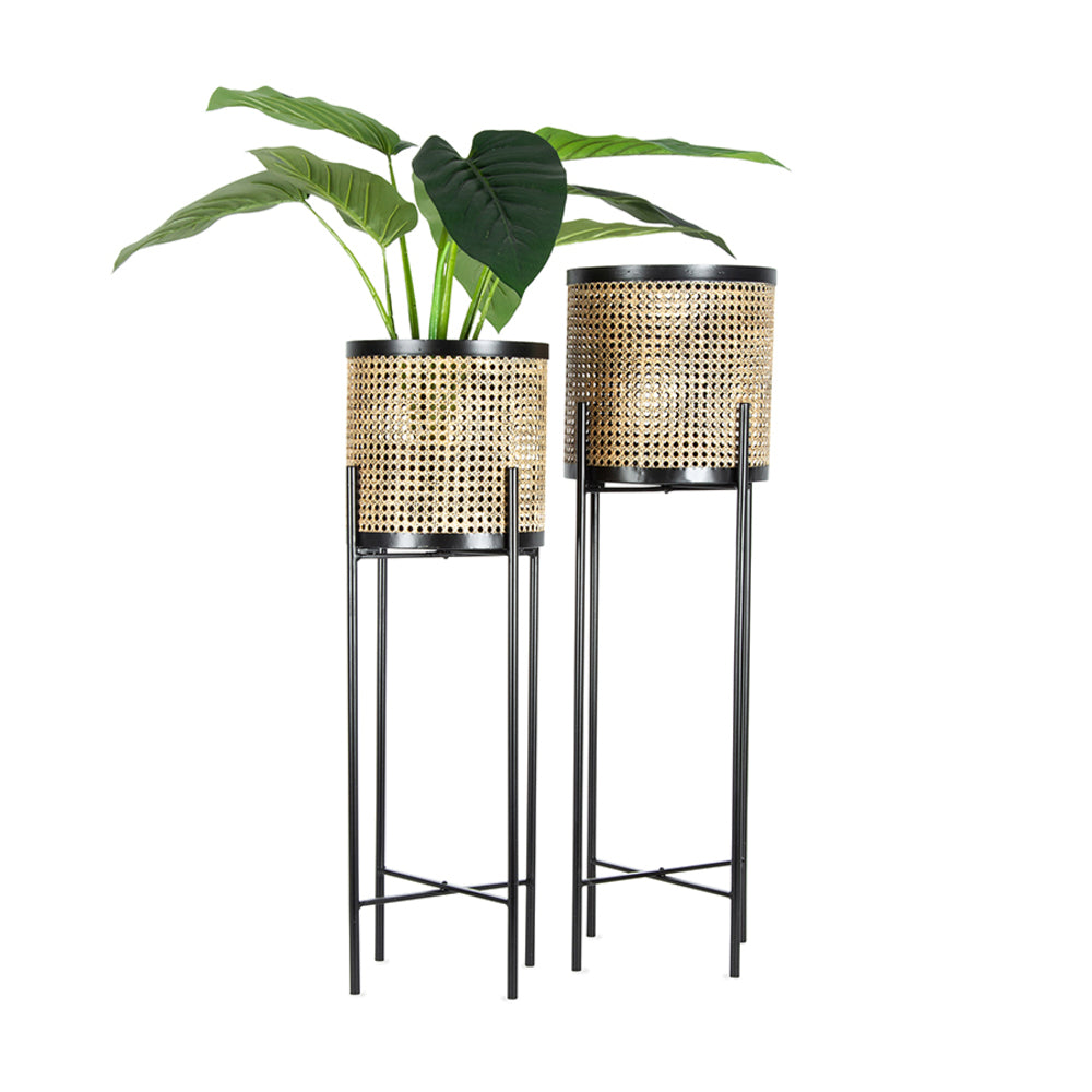 Set 2 Rattan Look w Black Stilted Metal Planters 90cm